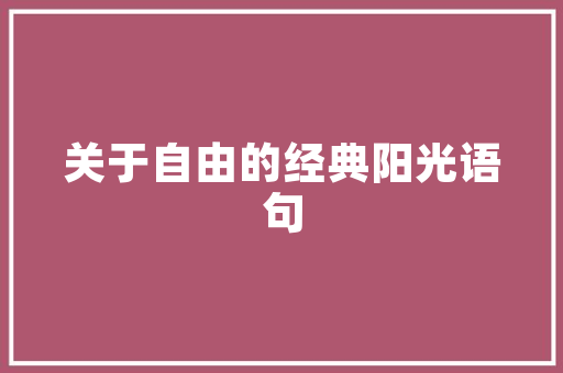 无锡网页优化SEO攻略,让您的网站在搜索引擎中脱颖而出