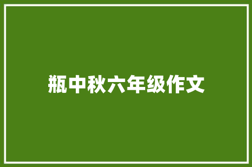 昆明SEO领域翘楚,介绍昆明哪家SEO服务更胜一筹