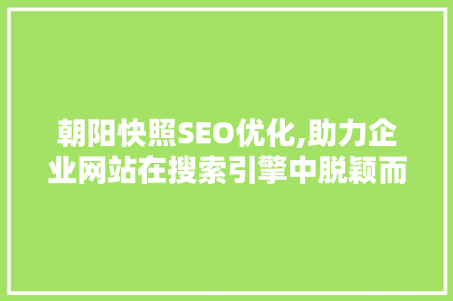 朝阳快照SEO优化,助力企业网站在搜索引擎中脱颖而出