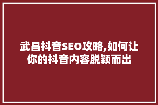 武昌抖音SEO攻略,如何让你的抖音内容脱颖而出