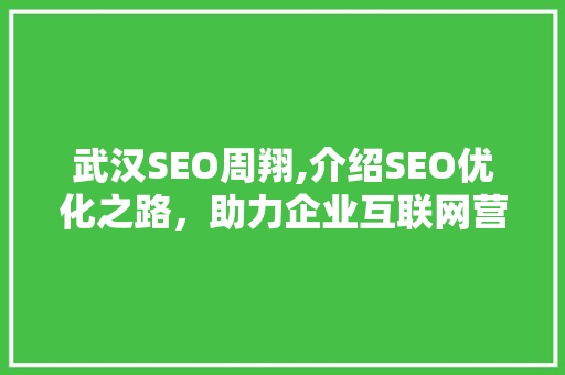 武汉SEO周翔,介绍SEO优化之路，助力企业互联网营销新突破