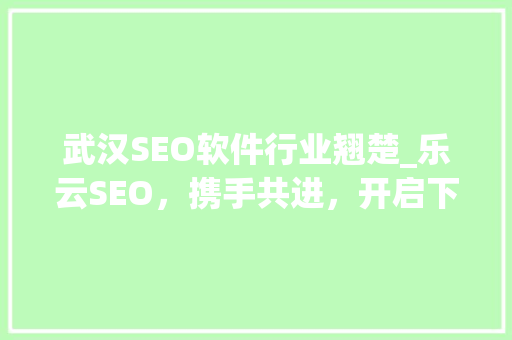武汉SEO软件行业翘楚_乐云SEO，携手共进，开启下拉招代理新篇章