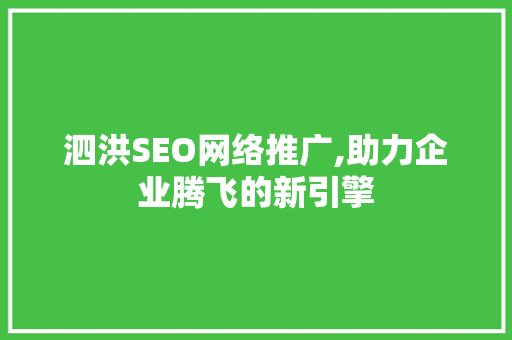 泗洪SEO网络推广,助力企业腾飞的新引擎