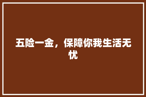 五险一金，保障你我生活无忧