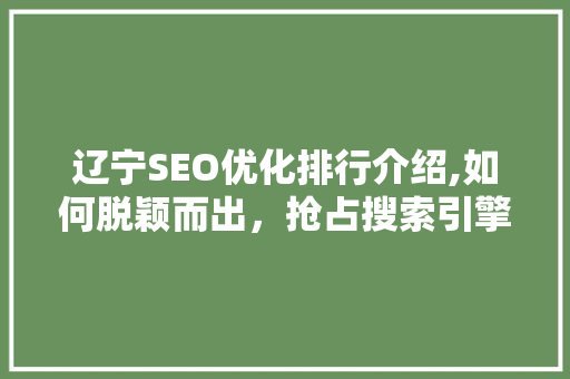 辽宁SEO优化排行介绍,如何脱颖而出，抢占搜索引擎流量高地
