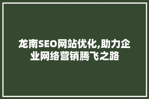 龙南SEO网站优化,助力企业网络营销腾飞之路  第1张