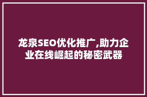 龙泉SEO优化推广,助力企业在线崛起的秘密武器