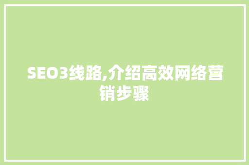 SEO3线路,介绍高效网络营销步骤