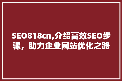 SEO818cn,介绍高效SEO步骤，助力企业网站优化之路