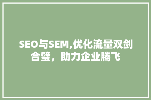 SEO与SEM,优化流量双剑合璧，助力企业腾飞