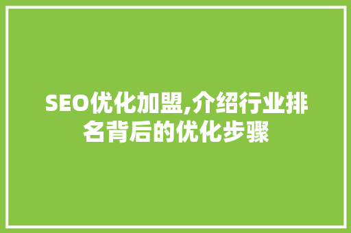 SEO优化加盟,介绍行业排名背后的优化步骤