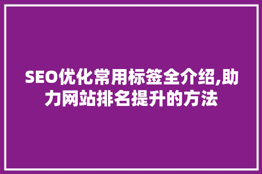 SEO优化常用标签全介绍,助力网站排名提升的方法
