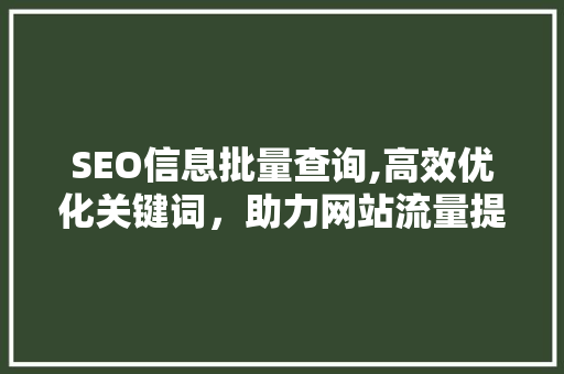SEO信息批量查询,高效优化关键词，助力网站流量提升