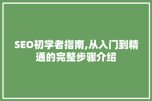 SEO初学者指南,从入门到精通的完整步骤介绍