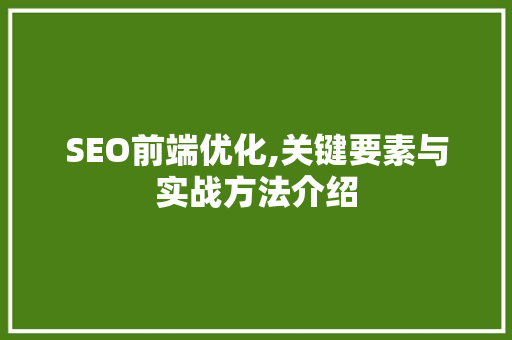 SEO前端优化,关键要素与实战方法介绍