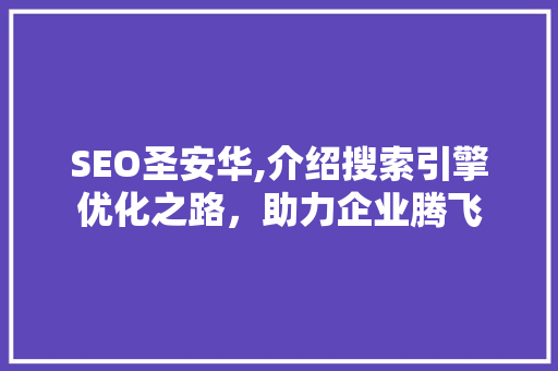SEO圣安华,介绍搜索引擎优化之路，助力企业腾飞