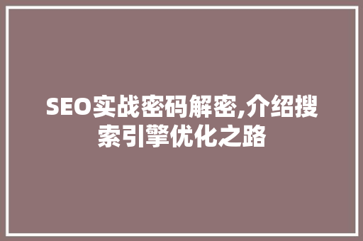 SEO实战密码解密,介绍搜索引擎优化之路