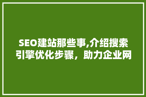 SEO建站那些事,介绍搜索引擎优化步骤，助力企业网络营销