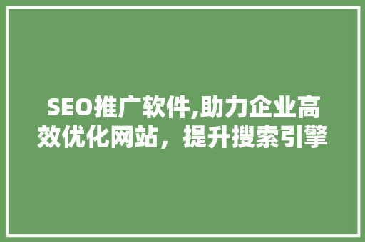 SEO推广软件,助力企业高效优化网站，提升搜索引擎排名