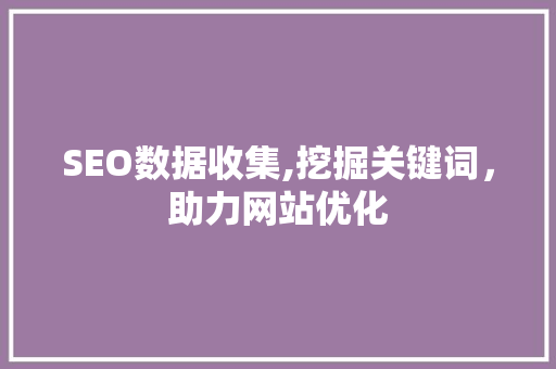 SEO数据收集,挖掘关键词，助力网站优化