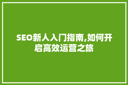 SEO新人入门指南,如何开启高效运营之旅