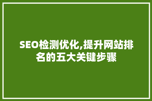 SEO检测优化,提升网站排名的五大关键步骤  第1张