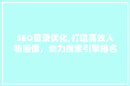 SEO目录优化,打造高效人物画像，助力搜索引擎排名提升