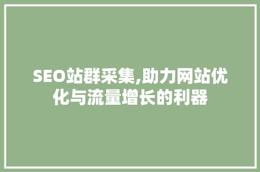 SEO站群采集,助力网站优化与流量增长的利器