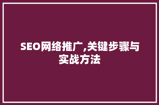 SEO网络推广,关键步骤与实战方法