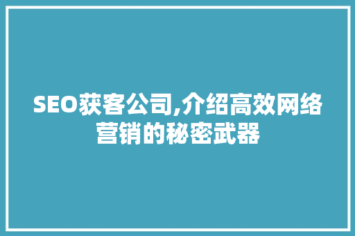 SEO获客公司,介绍高效网络营销的秘密武器