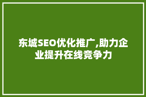 东城SEO优化推广,助力企业提升在线竞争力