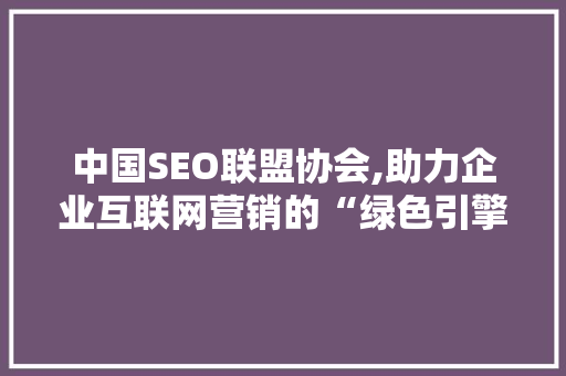 中国SEO联盟协会,助力企业互联网营销的“绿色引擎”