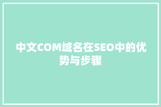 中文COM域名在SEO中的优势与步骤