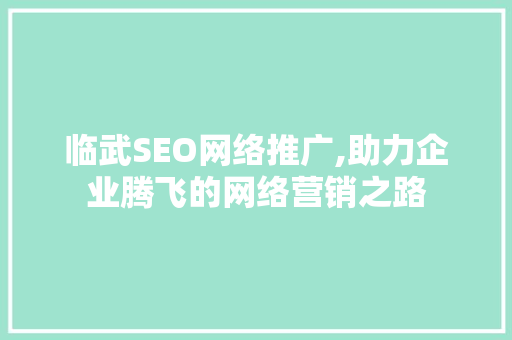 临武SEO网络推广,助力企业腾飞的网络营销之路