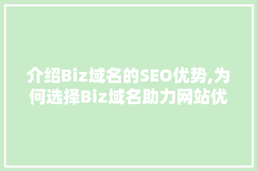 介绍Biz域名的SEO优势,为何选择Biz域名助力网站优化  第1张