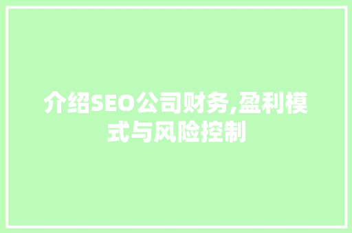 介绍SEO公司财务,盈利模式与风险控制