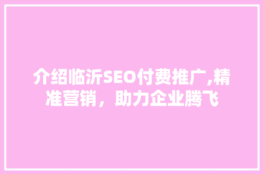 介绍临沂SEO付费推广,精准营销，助力企业腾飞