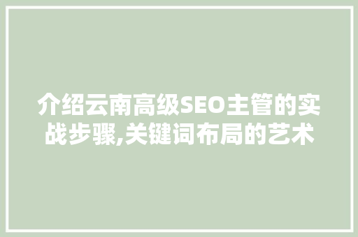 介绍云南高级SEO主管的实战步骤,关键词布局的艺术