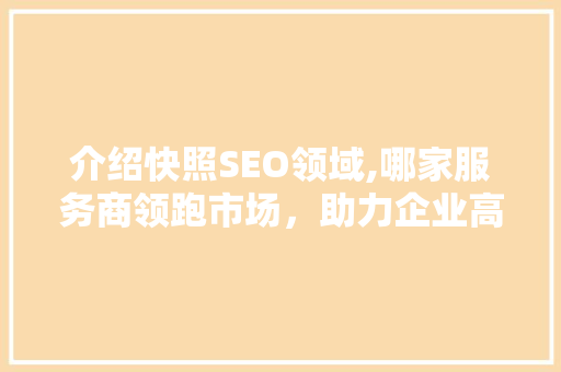 介绍快照SEO领域,哪家服务商领跑市场，助力企业高效提升排名
