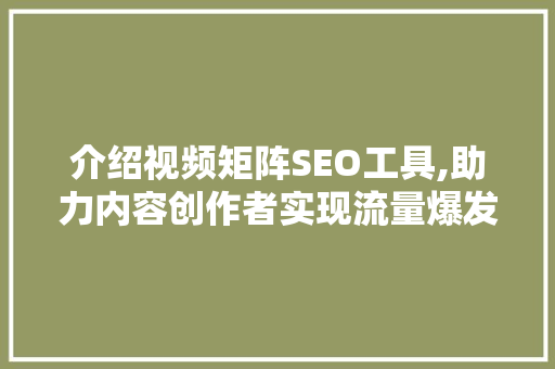 介绍视频矩阵SEO工具,助力内容创作者实现流量爆发