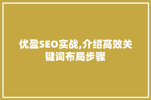 优盈SEO实战,介绍高效关键词布局步骤