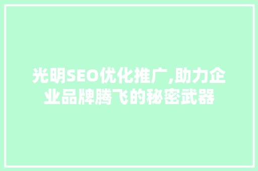 光明SEO优化推广,助力企业品牌腾飞的秘密武器