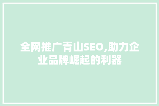 全网推广青山SEO,助力企业品牌崛起的利器