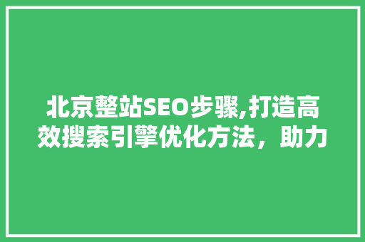 北京整站SEO步骤,打造高效搜索引擎优化方法，助力企业腾飞