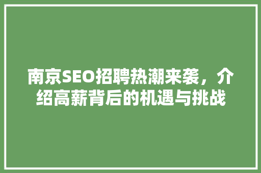 南京SEO招聘热潮来袭，介绍高薪背后的机遇与挑战