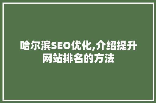 哈尔滨SEO优化,介绍提升网站排名的方法