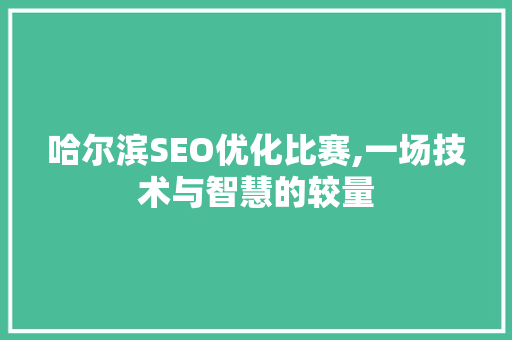 哈尔滨SEO优化比赛,一场技术与智慧的较量