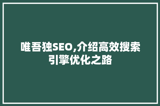 唯吾独SEO,介绍高效搜索引擎优化之路