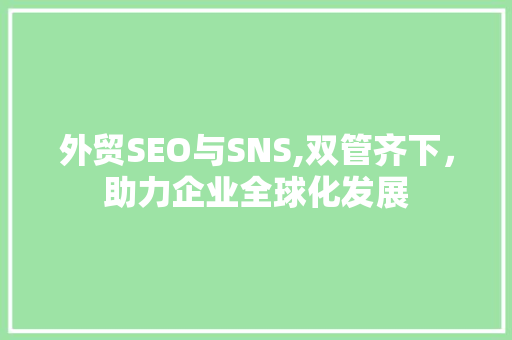 外贸SEO与SNS,双管齐下，助力企业全球化发展