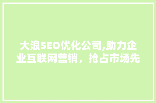 大浪SEO优化公司,助力企业互联网营销，抢占市场先机